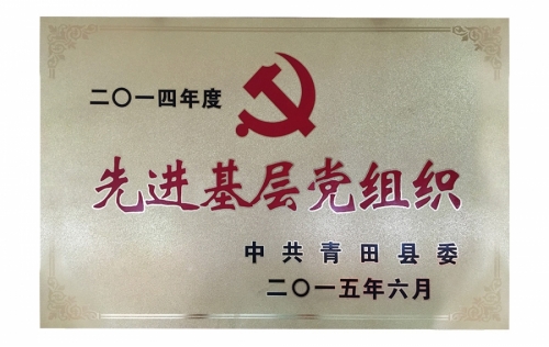 资质荣誉-德赢VWIN,电子式电能,智能电能表,智能开关,智能AMI系统,物联网解决方案,官方网站