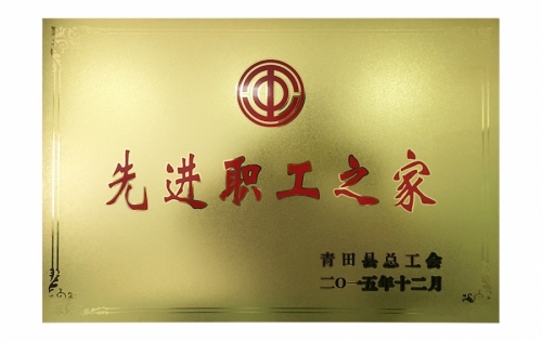 资质荣誉-德赢VWIN,电子式电能,智能电能表,智能开关,智能AMI系统,物联网解决方案,官方网站