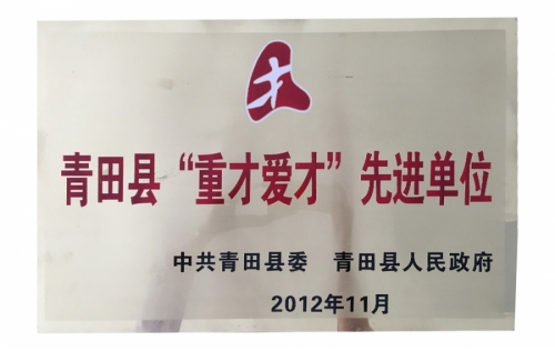 资质荣誉-德赢VWIN,电子式电能,智能电能表,智能开关,智能AMI系统,物联网解决方案,官方网站