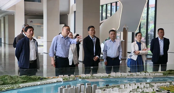 省人大常委会委员陈根芳调研德赢VWIN集团
