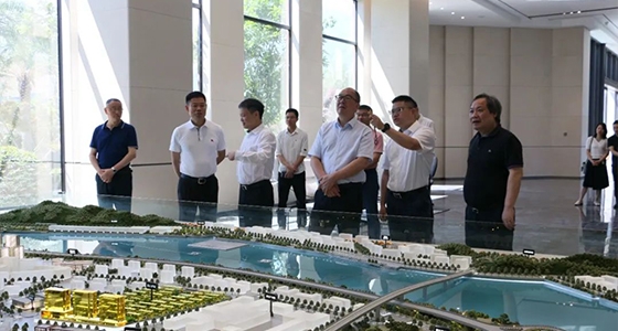 省委政研室童主任一行调研德赢VWIN集团