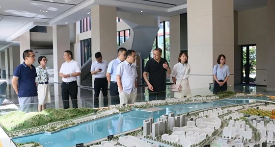中央党校调研德赢VWIN集团