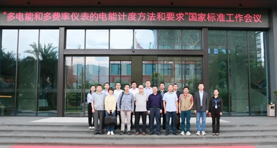国家标准工作组会议在德赢VWIN召开
