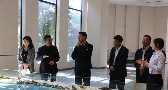 丽水市委统战部一行调研德赢VWIN仪表集团
