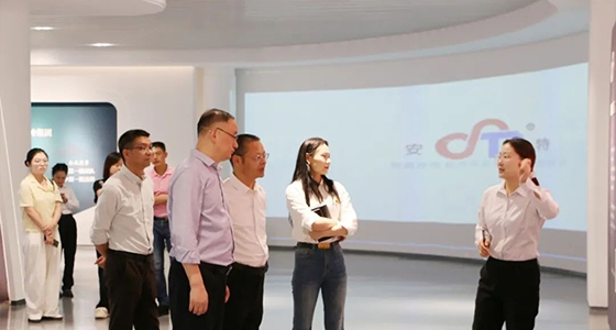 丽水市委社工部调研德赢VWIN集团两新党建工作